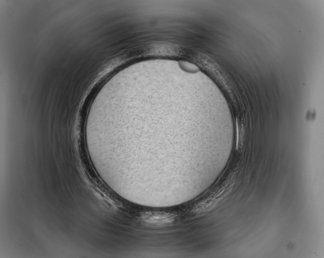 X0000097920435200804041527