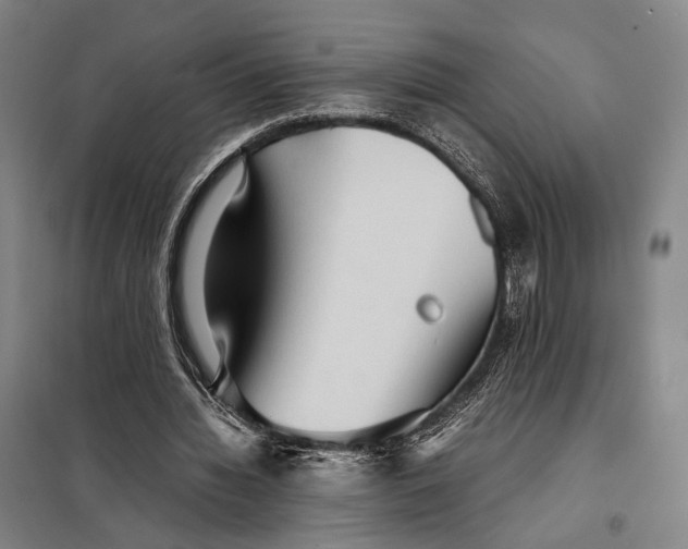 X0000097920436200804041527