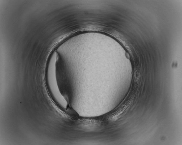 X0000097920437200804041527