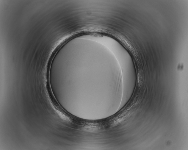 X0000097920438200804041527