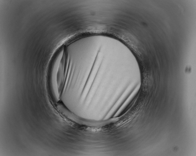 X0000097920440200804041527