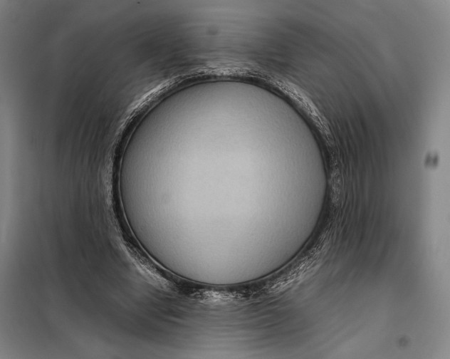 X0000097920442200804041527