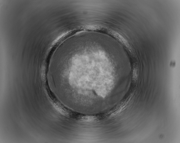 X0000097920444200804041527