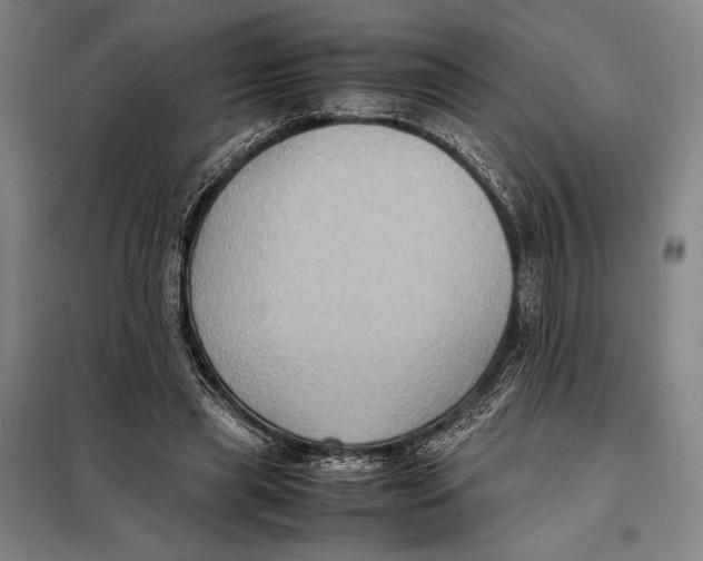 X0000097920445200804041527