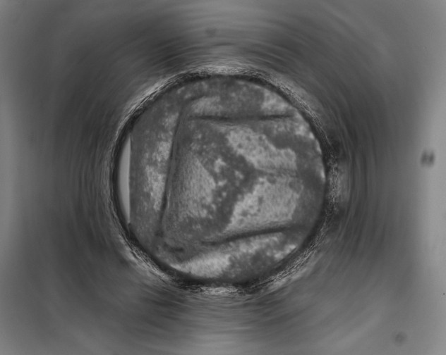 X0000097920446200804041527