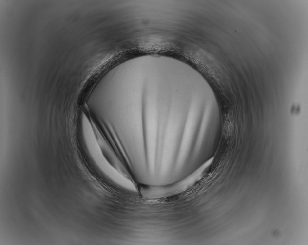 X0000097920448200804041527