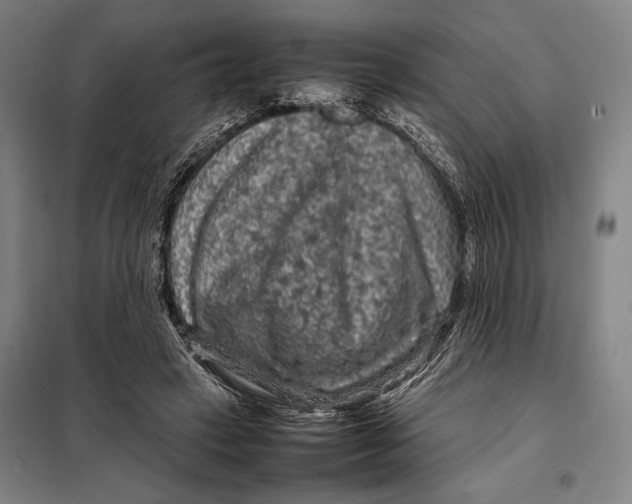 X0000097920449200804041527