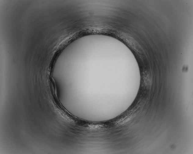 X0000097920450200804041527