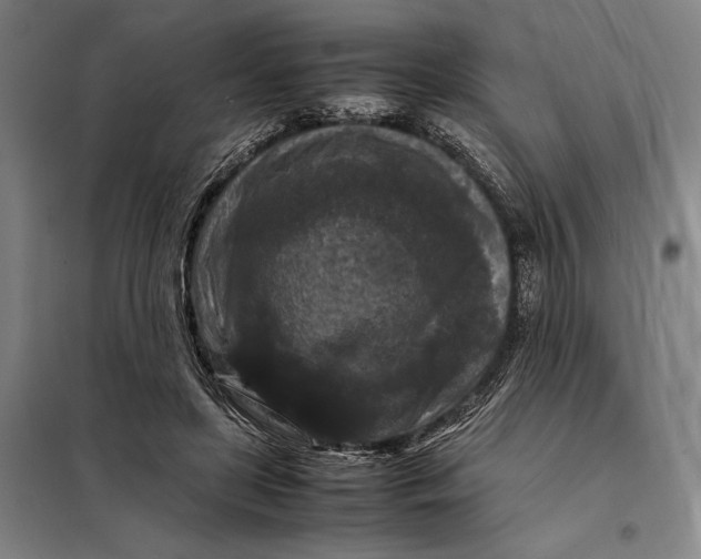 X0000097920451200804041527