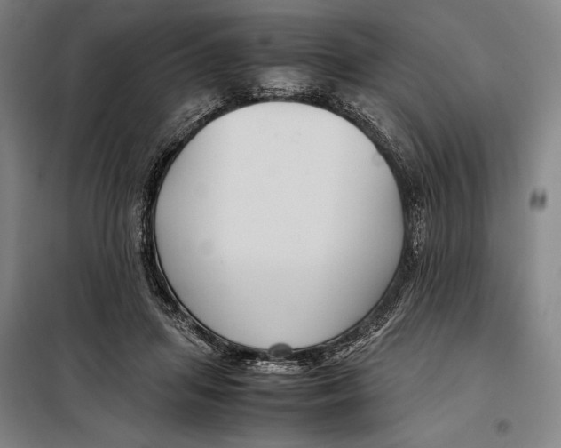 X0000097920455200804041527