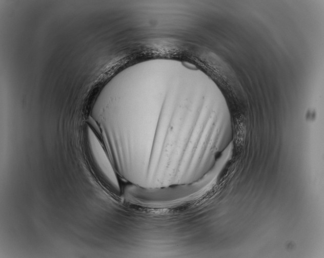 X0000097920456200804041527