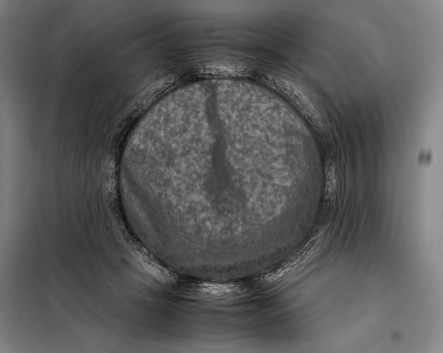 X0000097920457200804041527