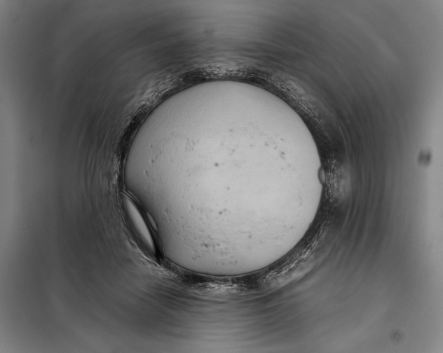 X0000097920458200804041527