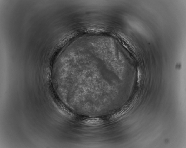 X0000097920459200804041527