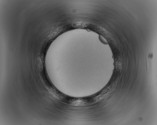 X0000097920460200804041527