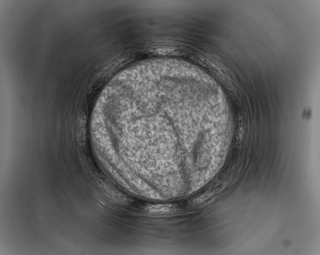 X0000097920461200804041527