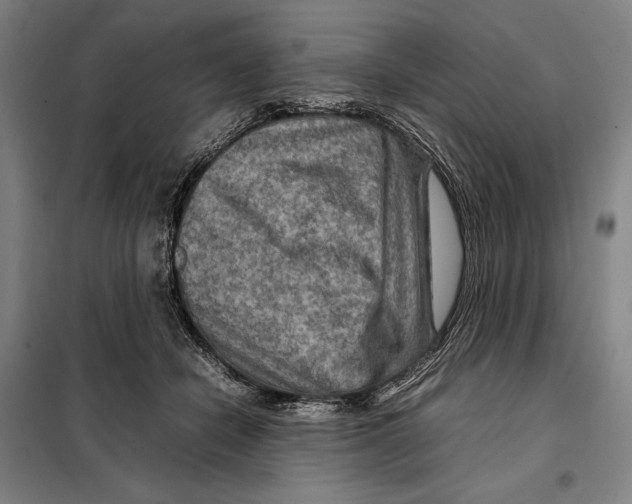 X0000097920462200804041527