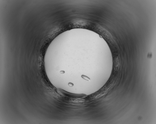 X0000097920463200804041528