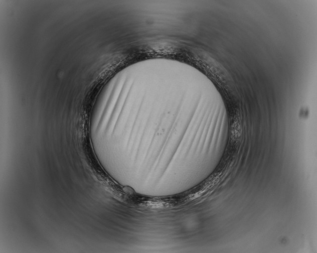 X0000097920464200804041528