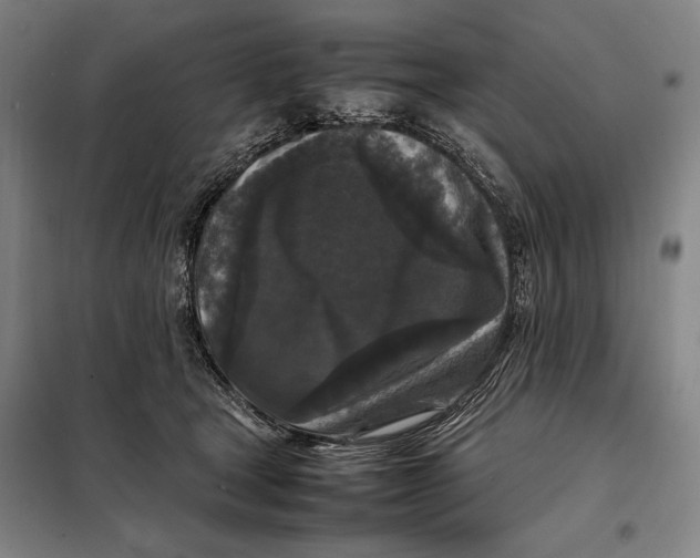 X0000097920465200804041528