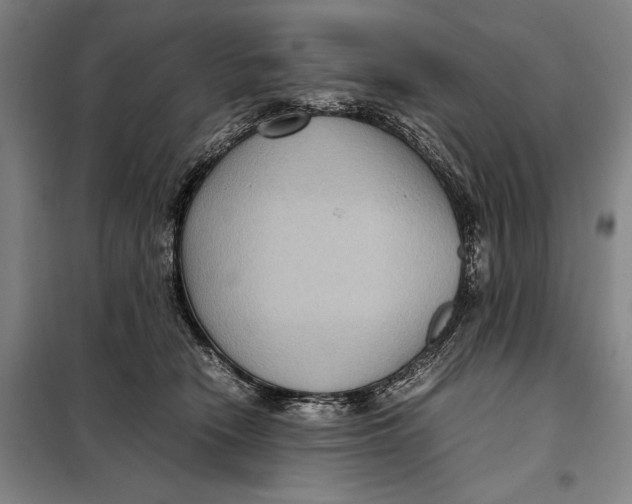 X0000097920466200804041528