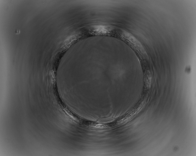 X0000097920467200804041528