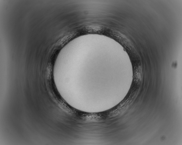 X0000097920468200804041528