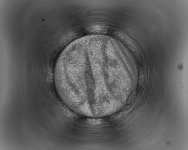 X0000097920469200804041528