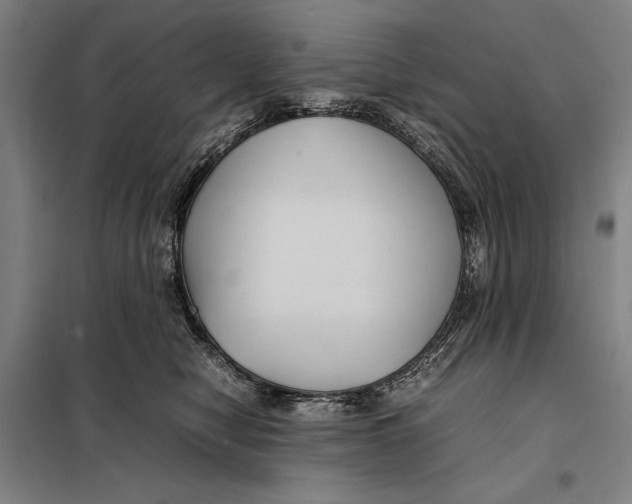 X0000097920470200804041528