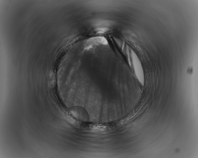 X0000097920471200804041528