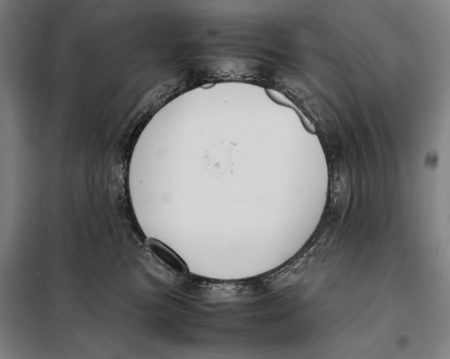 X0000097920473200804041528