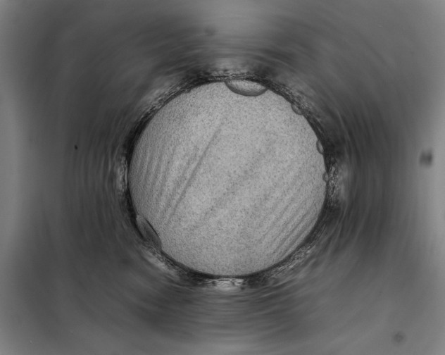 X0000097920474200804041528