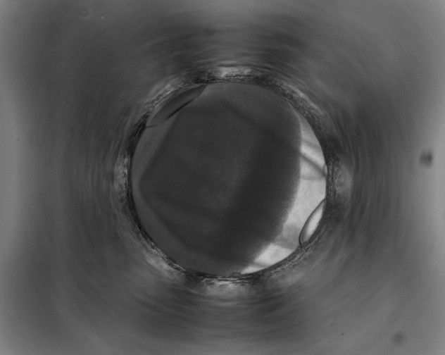 X0000097920475200804041528