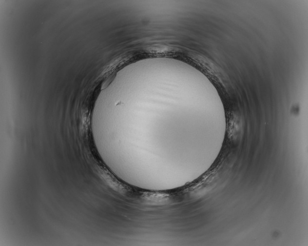 X0000097920476200804041528