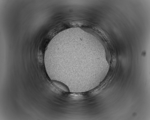 X0000097920477200804041528