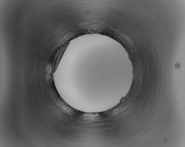 X0000097920480200804041528