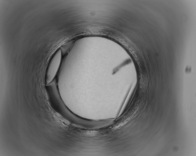 X0000097920481200804041527