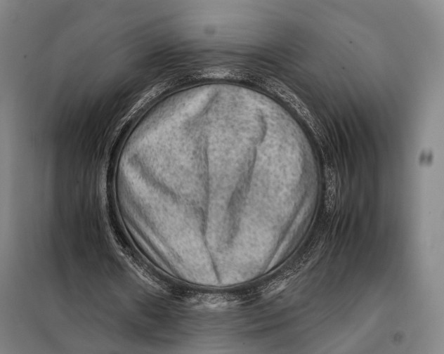 X0000097920482200804041527