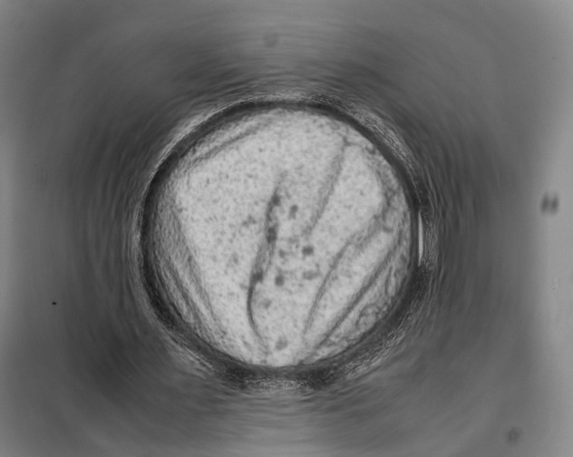 X0000097920483200804041527