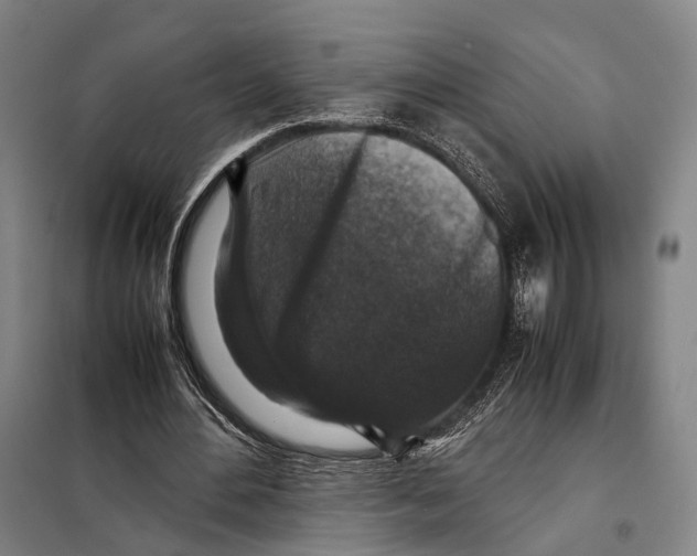 X0000097920484200804041527