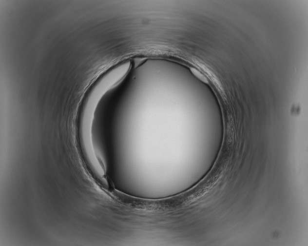 X0000097920485200804041527