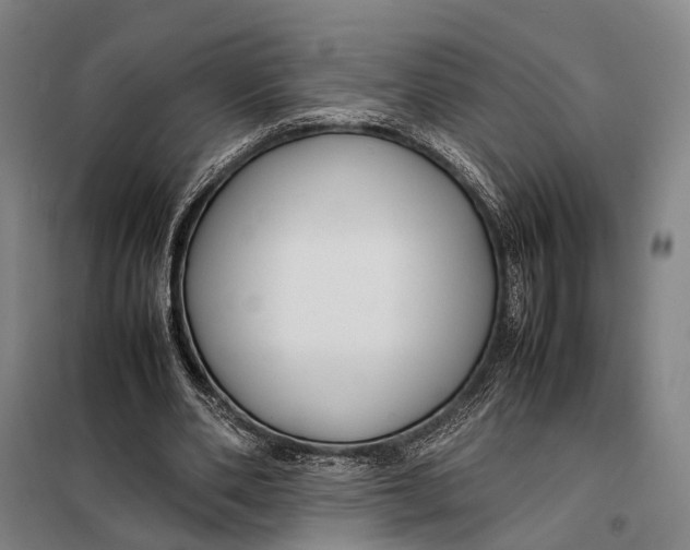 X0000097920486200804041527