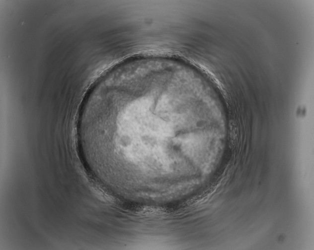 X0000097920487200804041527