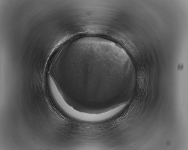 X0000097920488200804041527