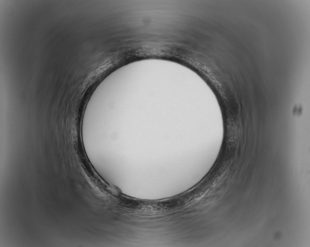 X0000097920489200804041527