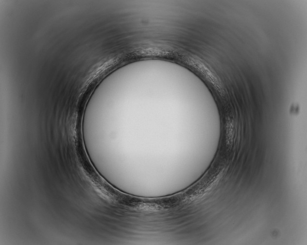 X0000097920490200804041527