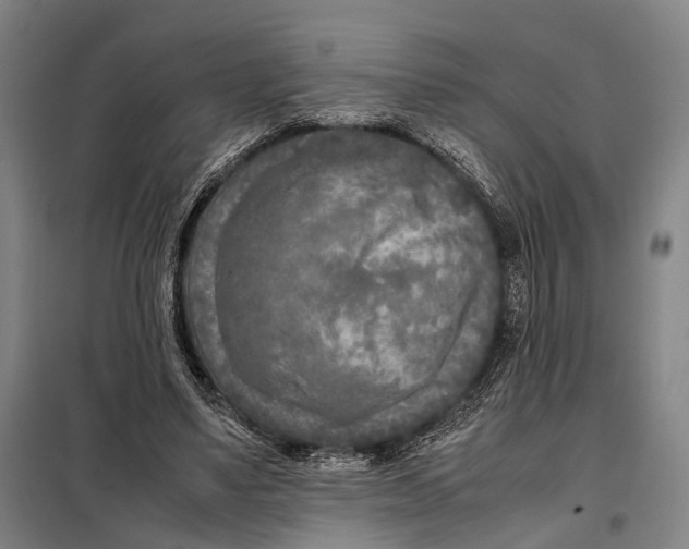 X0000097920491200804041527