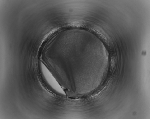 X0000097920492200804041527