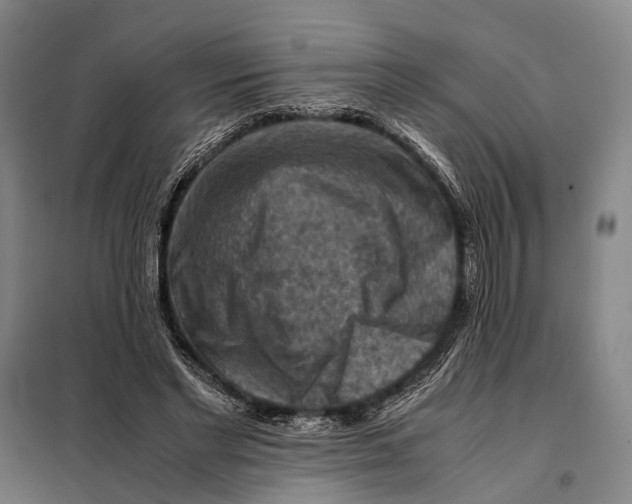 X0000097920493200804041527