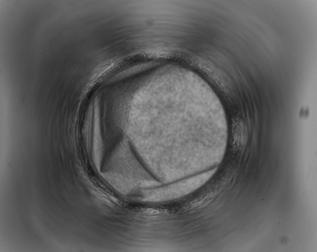 X0000097920494200804041527